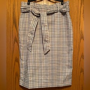 Ann Taylor Skirt